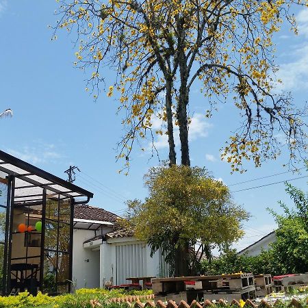 Hostal Morobik Popayan Esterno foto