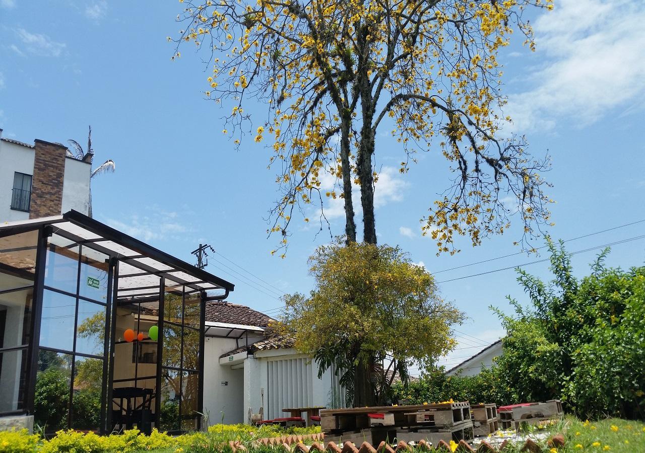 Hostal Morobik Popayan Esterno foto